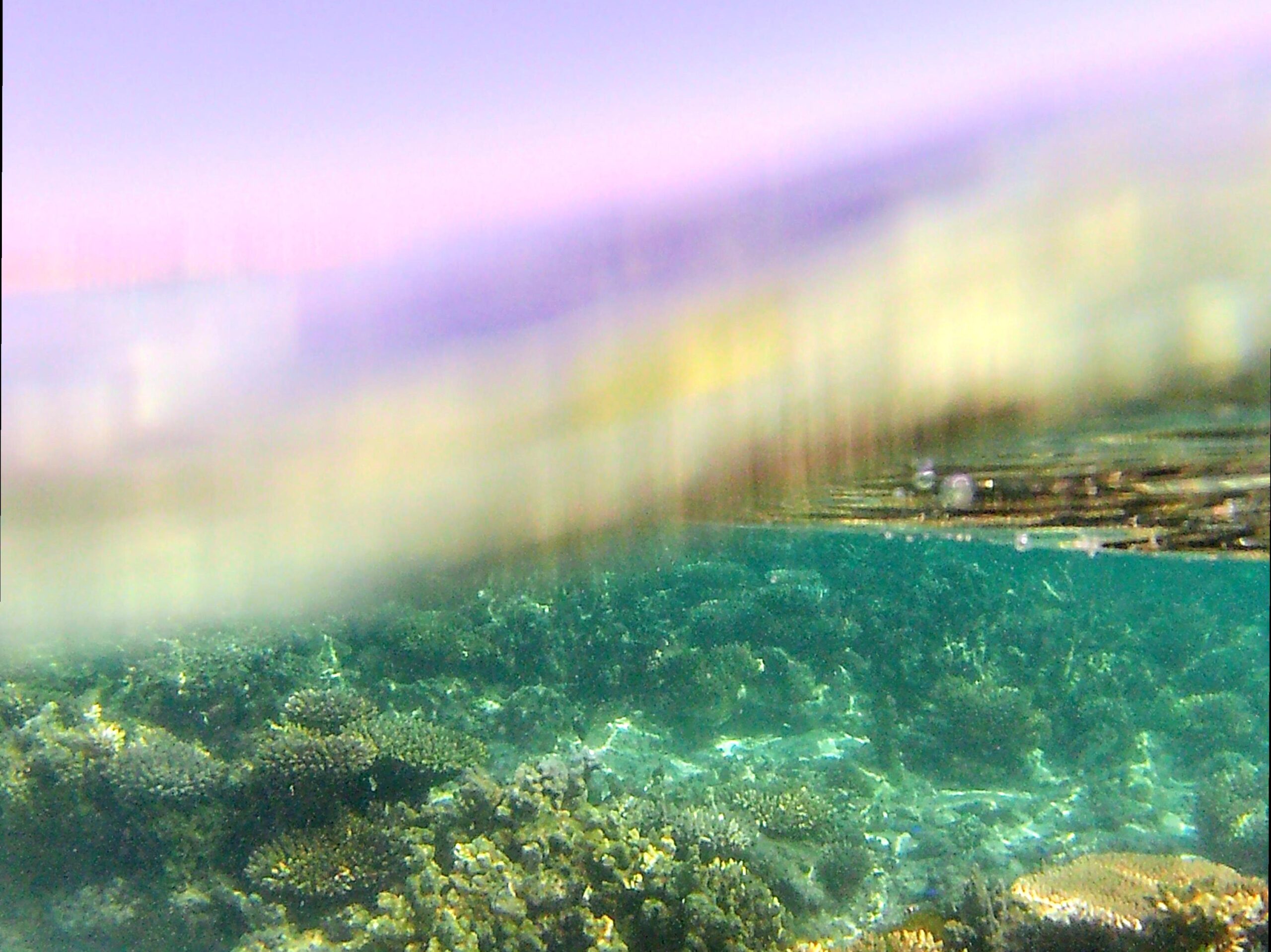 dissertationonline | Have a Picnic at Oyster Stacks: Enjoy a picnic at the scenic Oyster Stacks