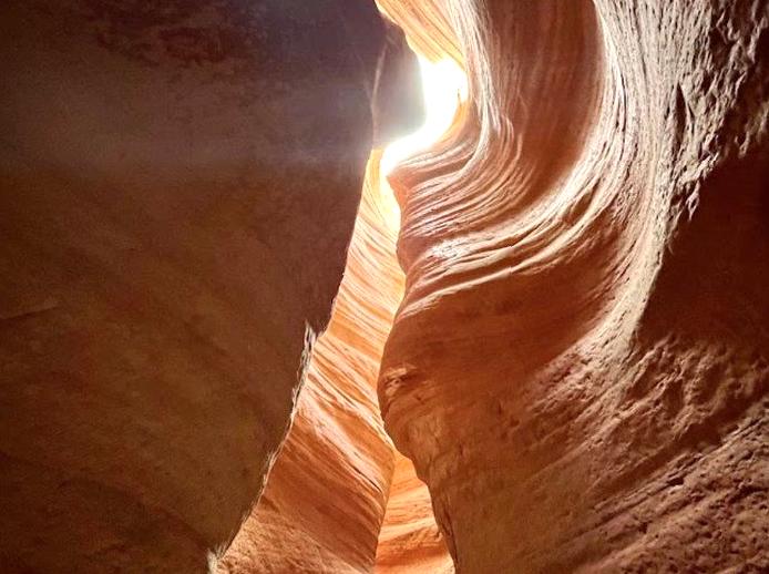 Uncover the Majestic Landscapes of Shothole Canyon