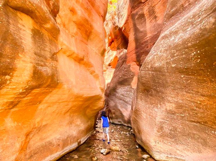 Experience the Wild Beauty of Shothole Canyon