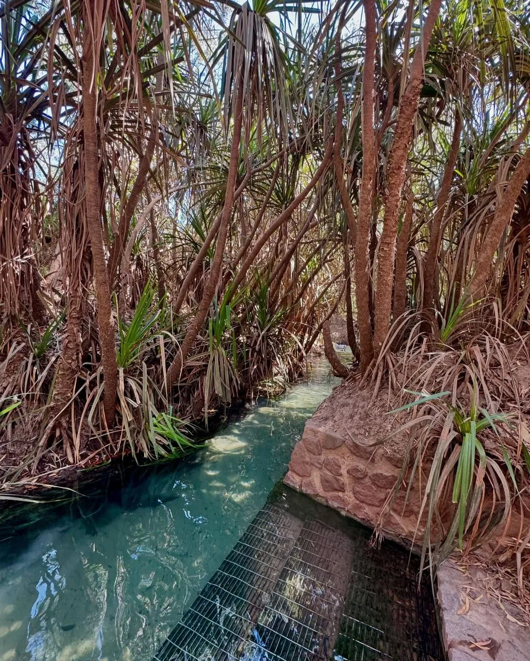dissertationonline | Best Ways to See Katherine Gorge