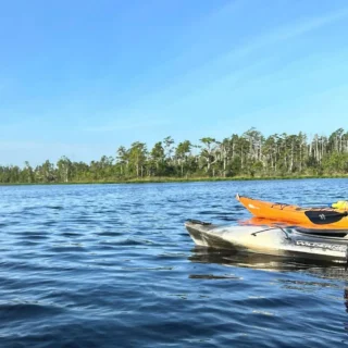 Can You Kayak in the East Alligator River