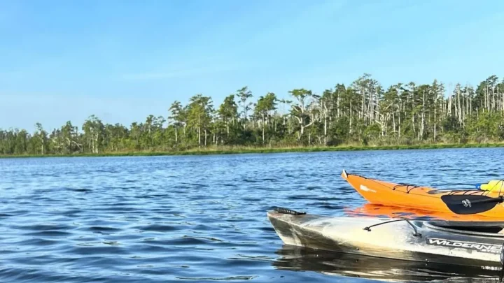 dissertationonline|Can You Kayak in the East Alligator River?