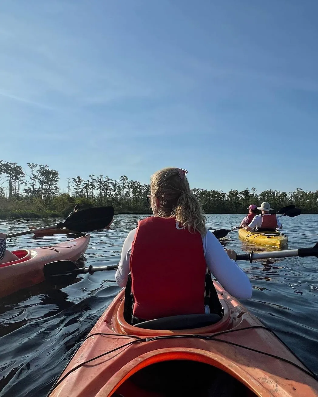 dissertationonline | Can You Kayak in the East Alligator River?