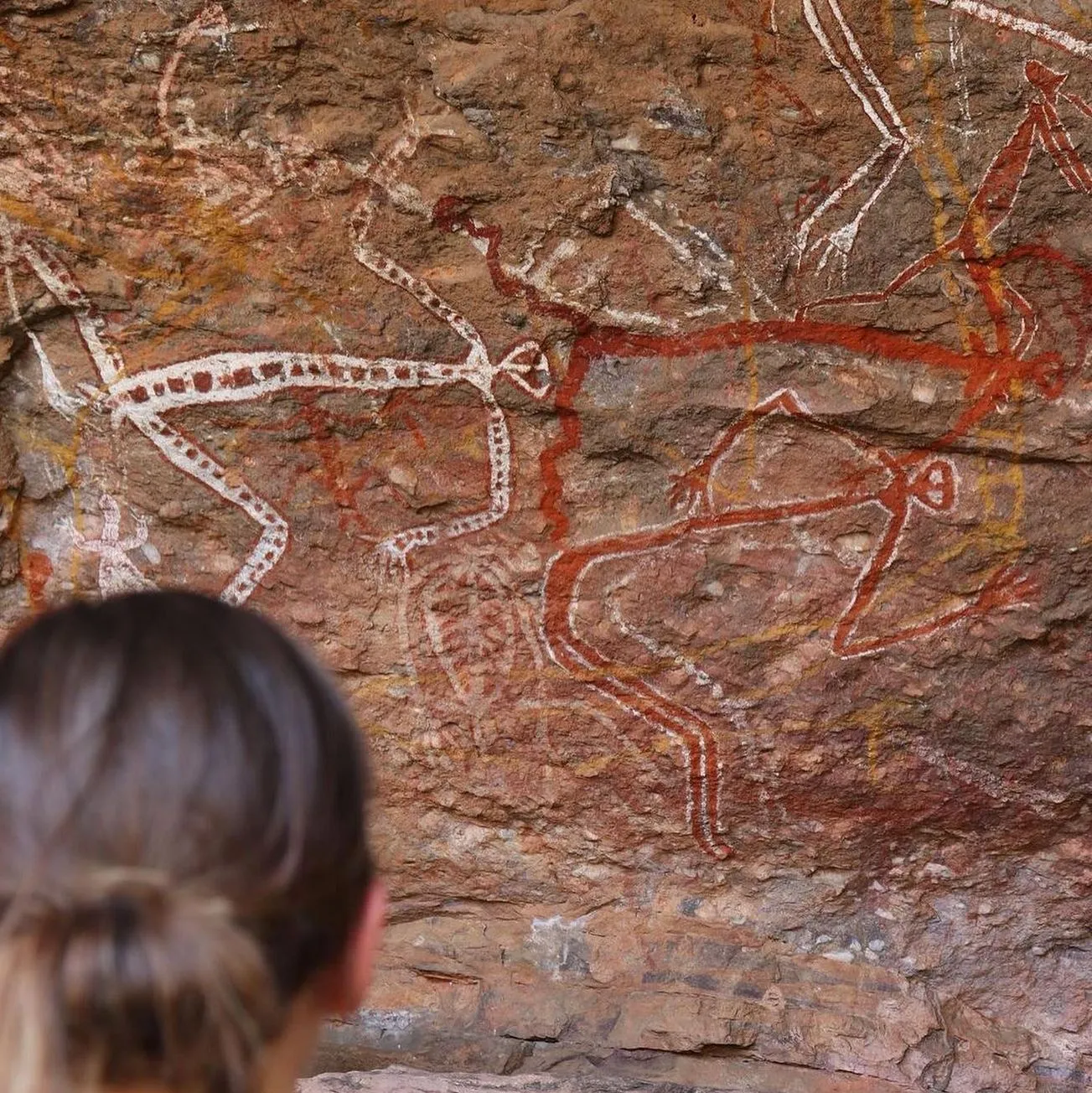 dissertationonline | What Makes Kakadu National Park So Special?