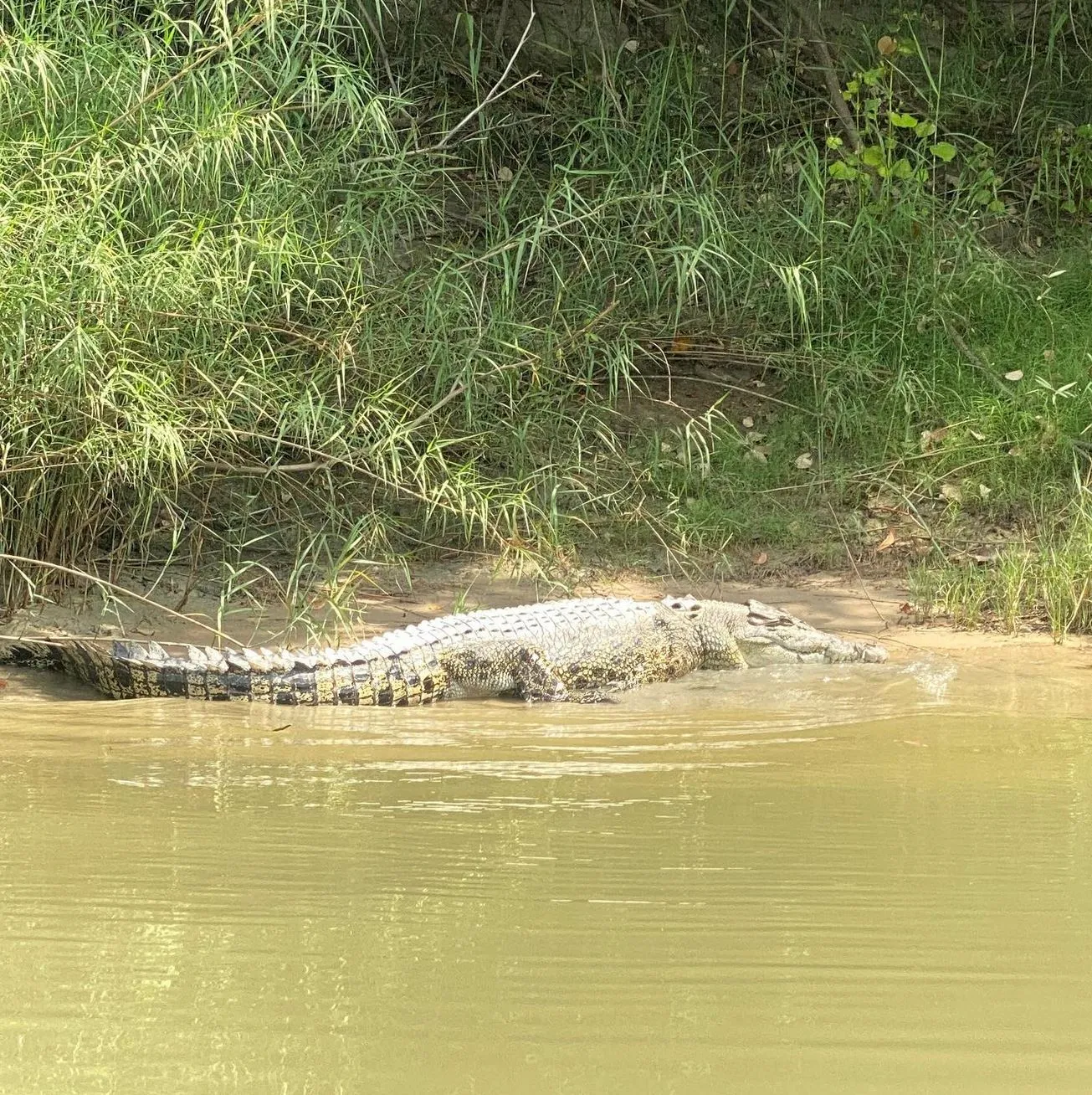 dissertationonline | Can You Kayak in the East Alligator River?